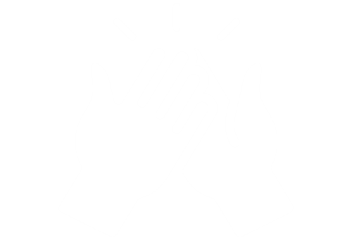 Invest, Hi Five White