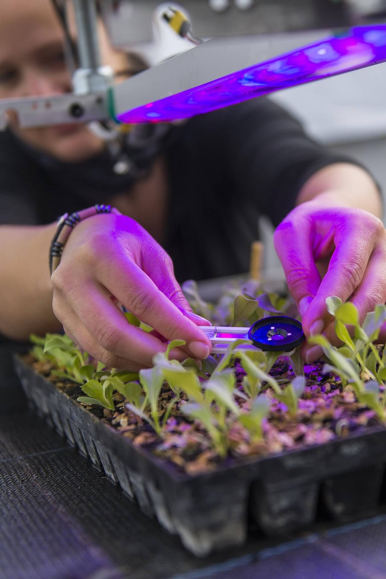 Biolumic ManawatuNZ large