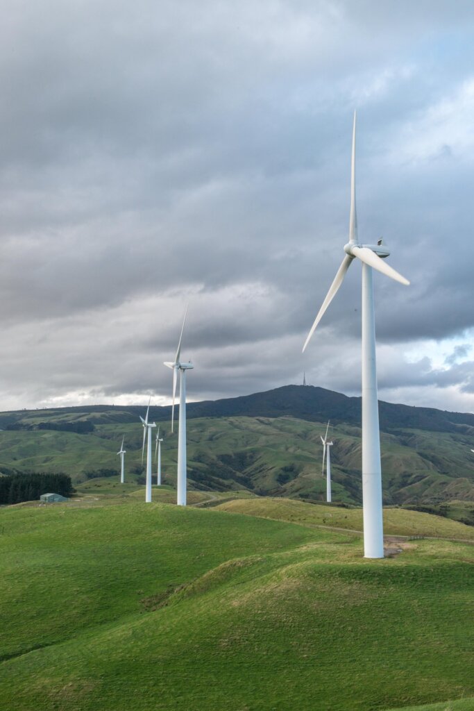 Te Apiti Wind Farm ManawatuNZ large (2)