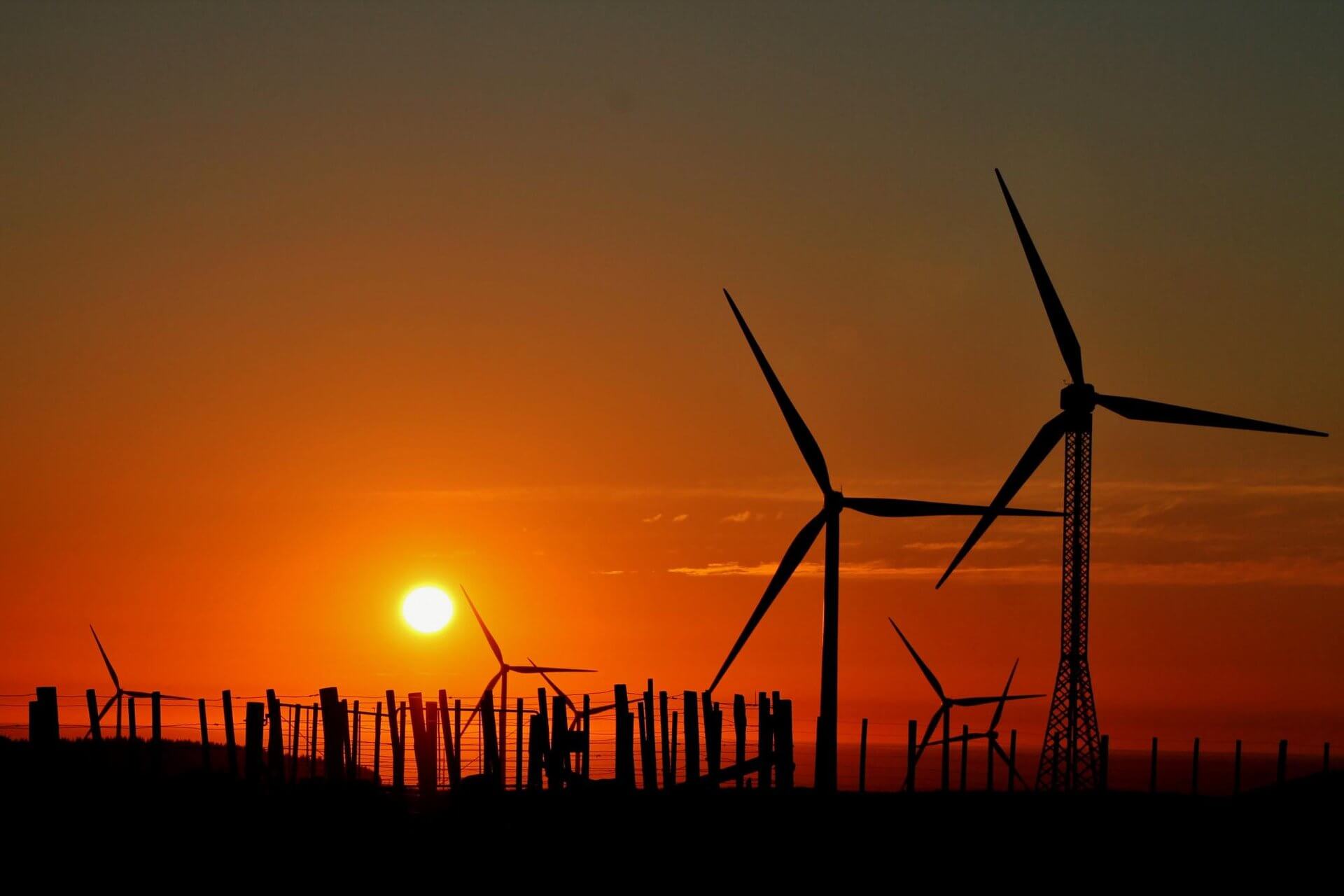 Te Apiti Wind Farm ManawatuNZ large (3)