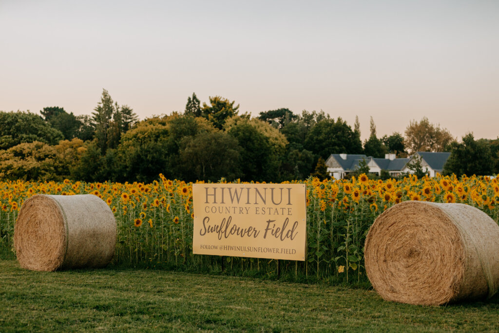 20250204CEDAStuartsCaseStudy 83