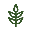 Ag hub icon dark green Ag