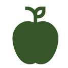Dark Green Apple icon Apple