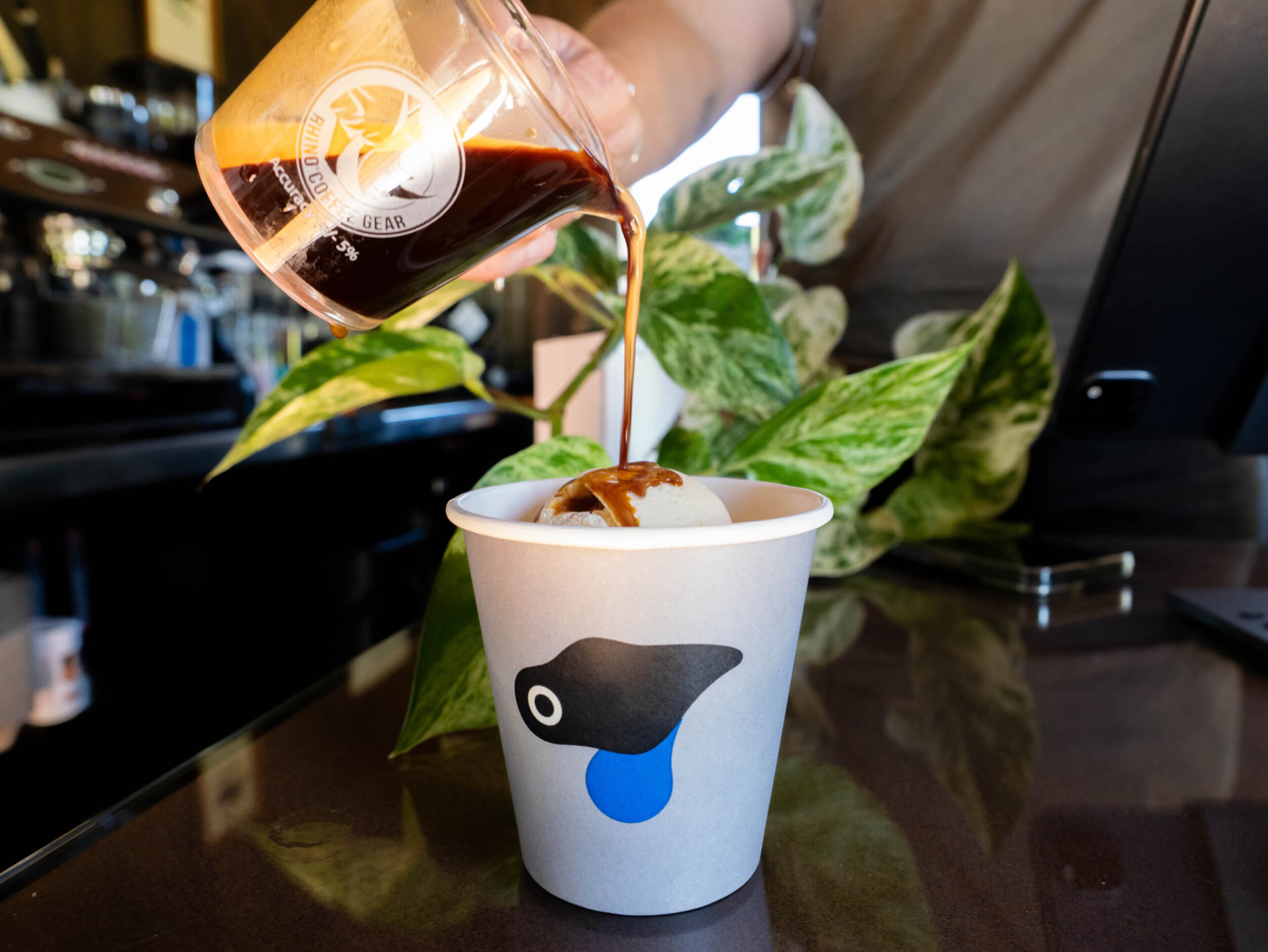 Gorge Quarter P1039583 2025