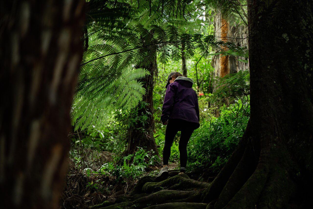Rangiwahia Scenic Reserve Manawatū