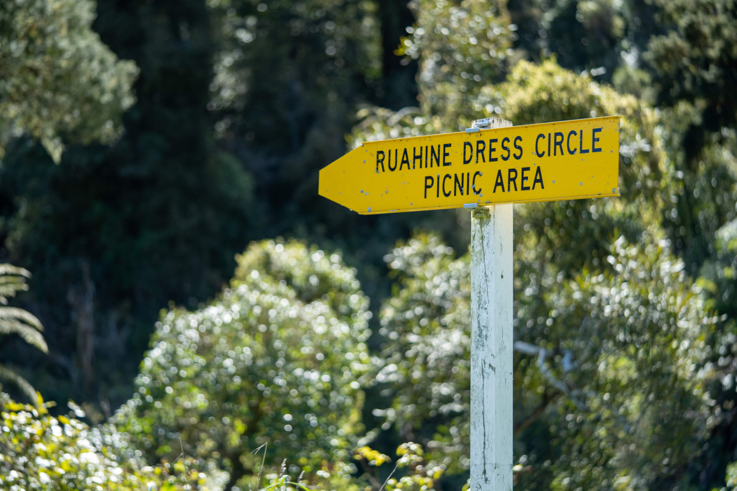 ManawatuCycleTrail Case 2022 148