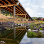 Thumbnail of http://P1006651