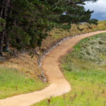 Thumbnail of http://P1006684