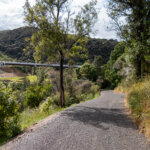 Thumbnail of http://P1006702