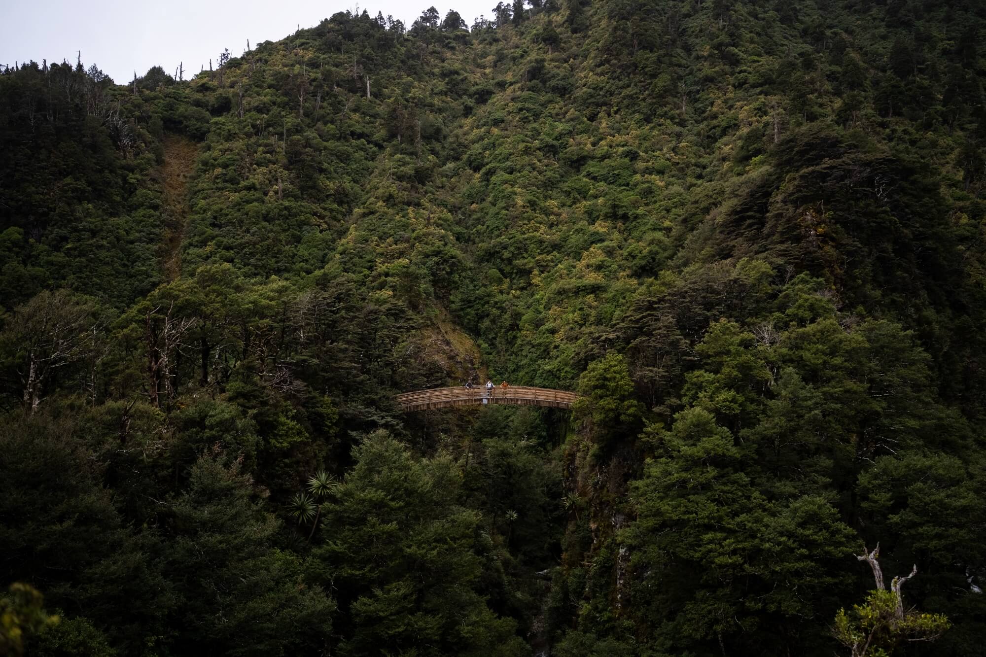 Reduced Rangiwahia Hut Track