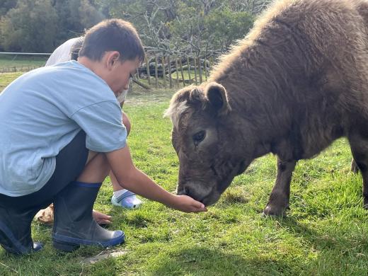 Flat Hills Cafe and Tourist Park - Animal Encounters