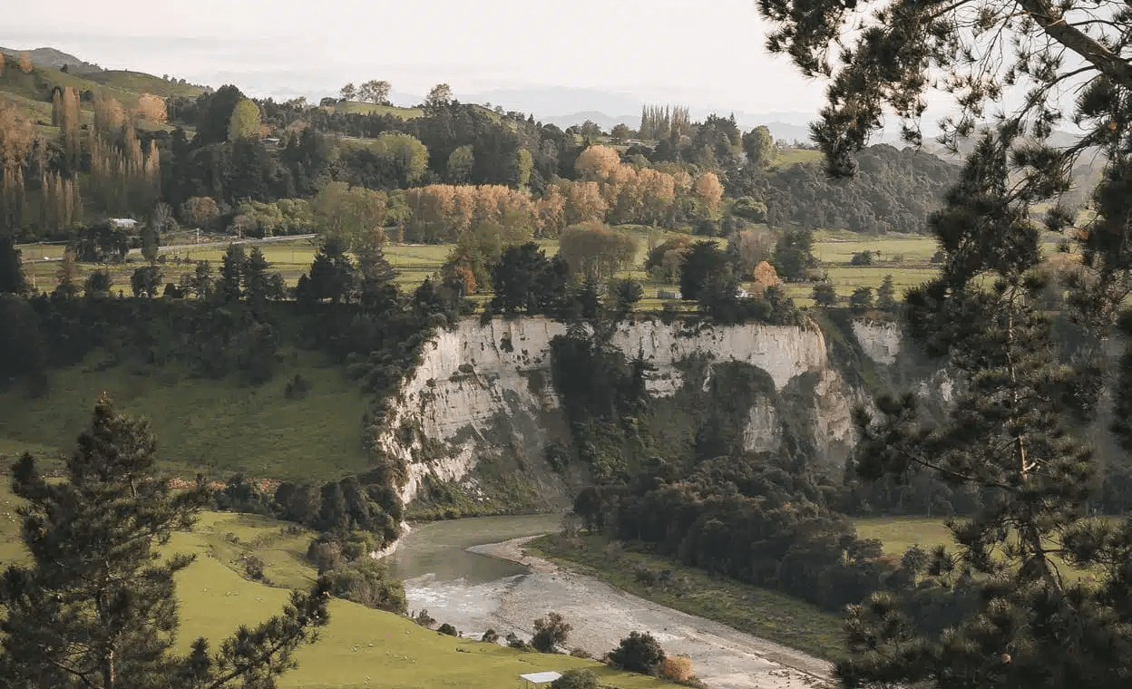 Manawatu Quarterly Retail Report March 2026 21