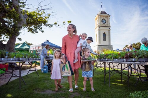 Feilding Farmers' Market ManawatuNZ.co.nz